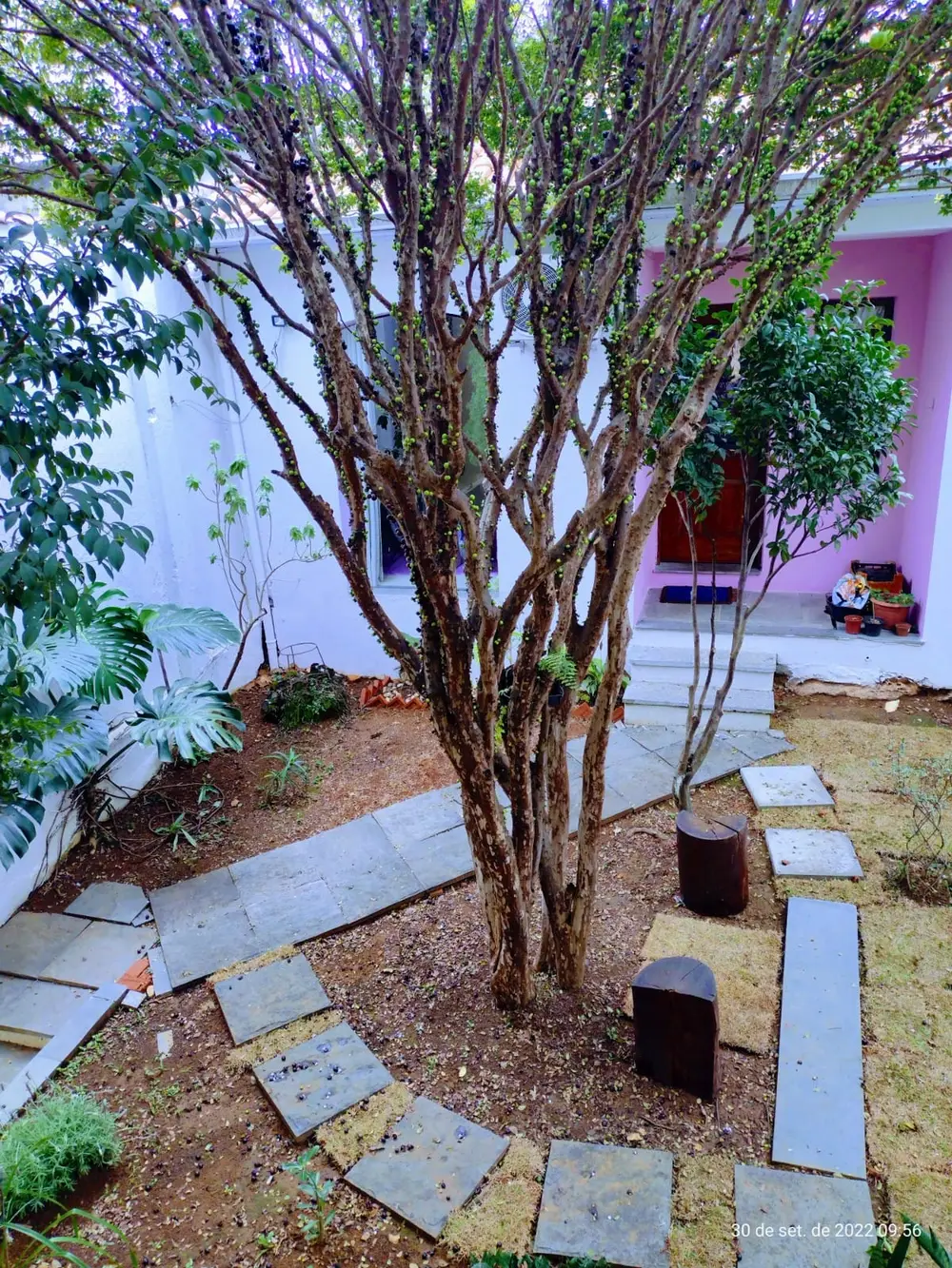 O espaço do instituto na Mooca, em São Paulo